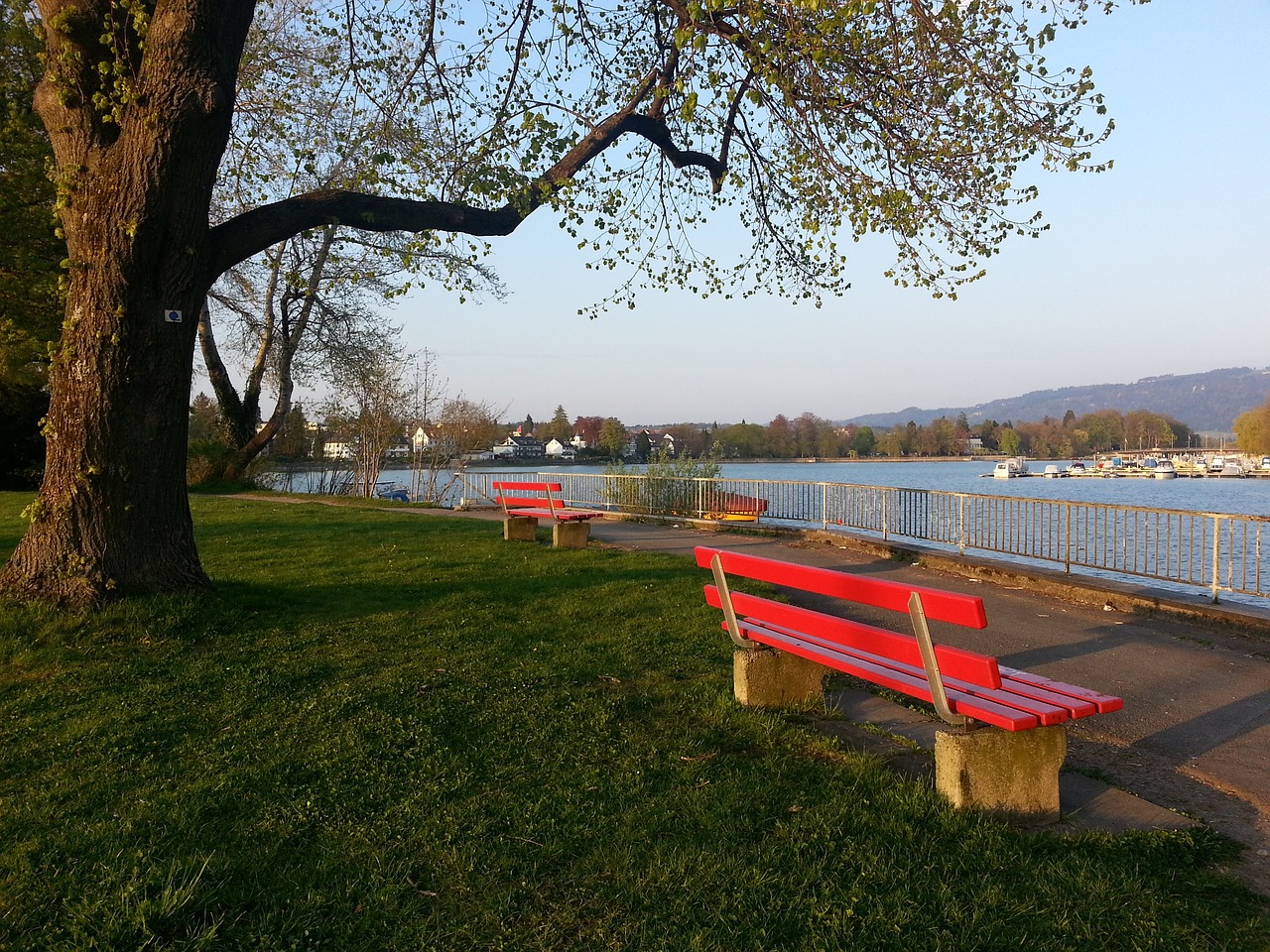 中国球迷的 中国球迷的