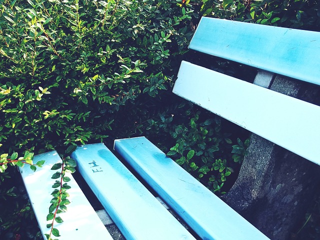 总的来说 总的来说