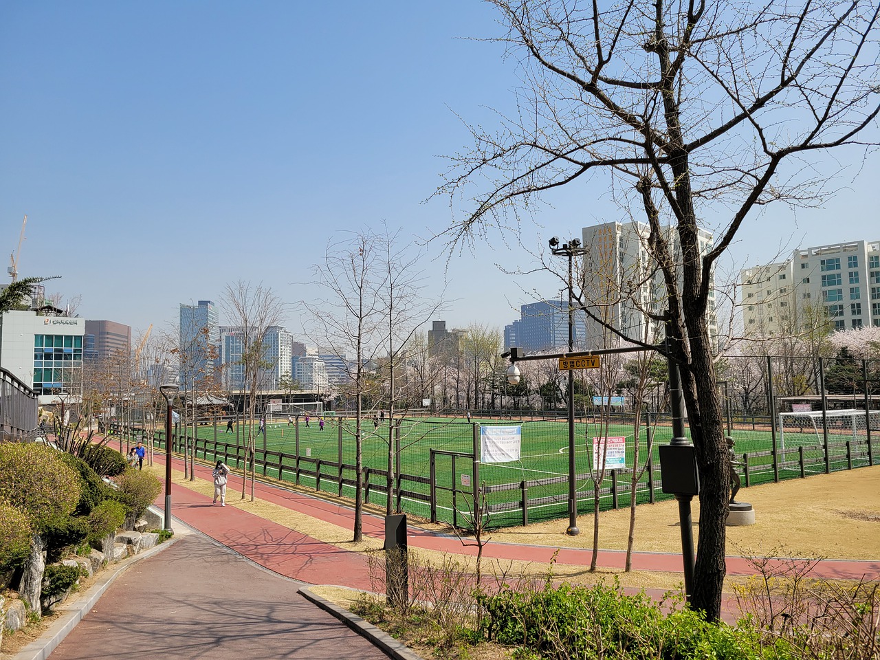 兰的崛起 兰的崛起