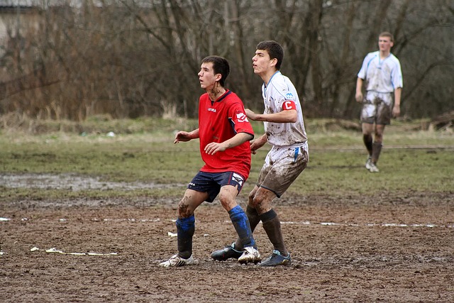 這句話不僅 這句話不僅